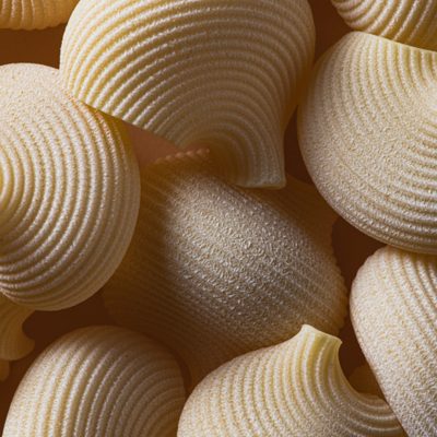 fotografía gastronómica macro